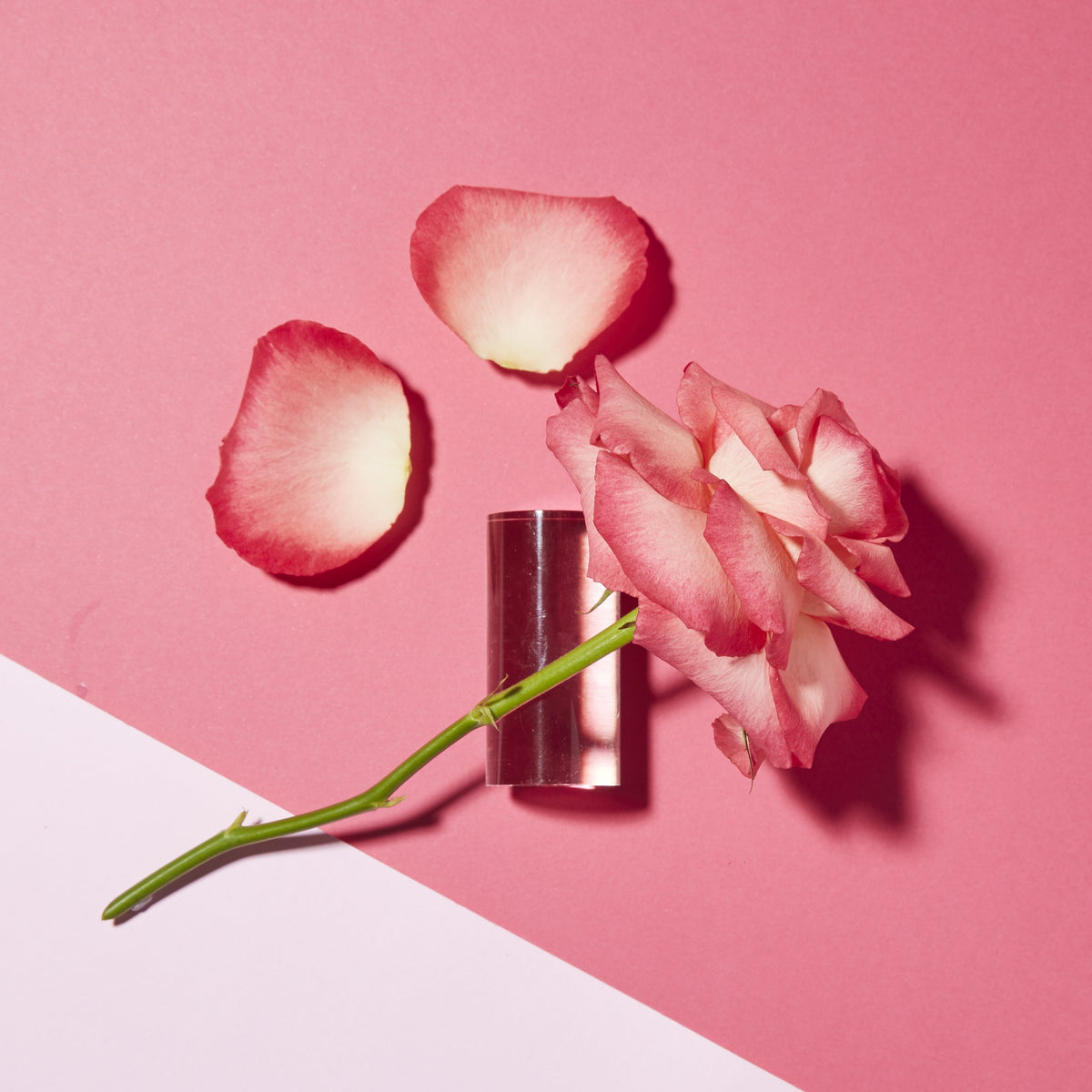 Botanical Deodorant - Rose Pomegranate - Andalou Naturals US