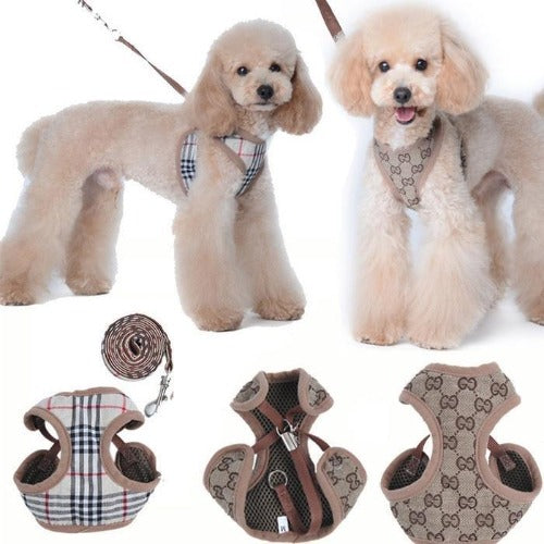 gucci dog harness and leash