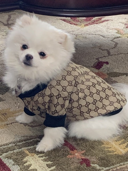 gucci jacket for dogs