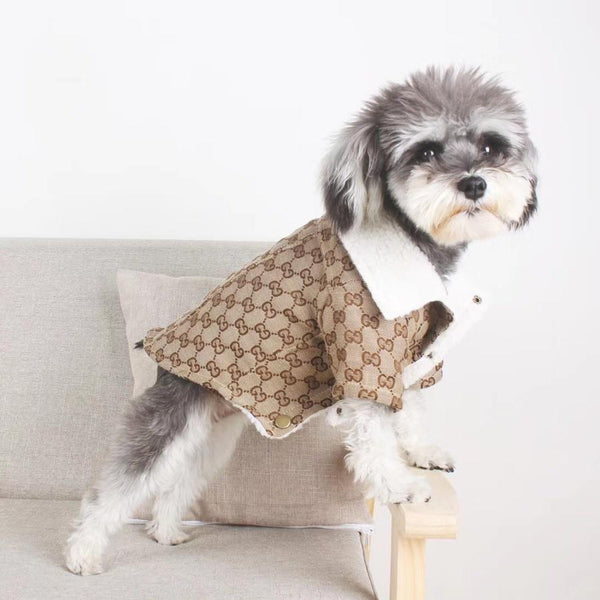 gucci for dogs clothing