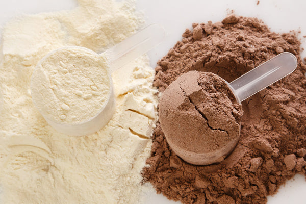 Protein Shake Powder Differences