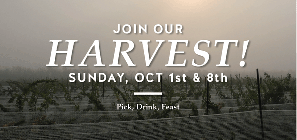 Join Our Harvent Sunday October 1st & 18th - Trail Estate