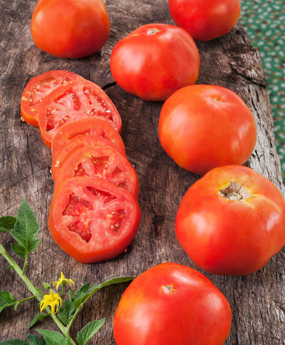 Rutgers Heirloom Tomato