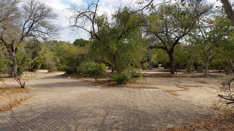 Campsites at Kruger National Park are uncharacteristically empty. Image: Into the Kruger