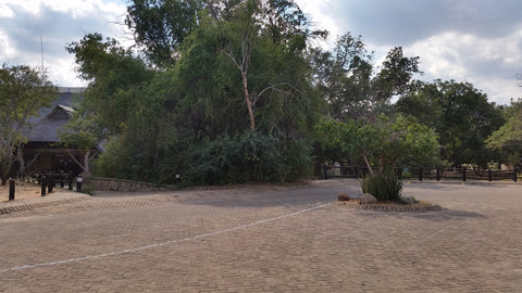 An empty car park at Skukuza Rest Camp, Kruger National Park. Image: Into the Kruger