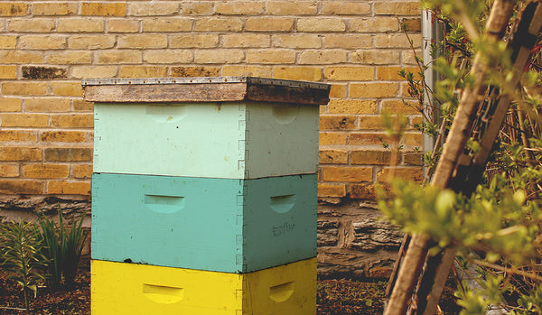 Residential beehive rental in Minnesota 