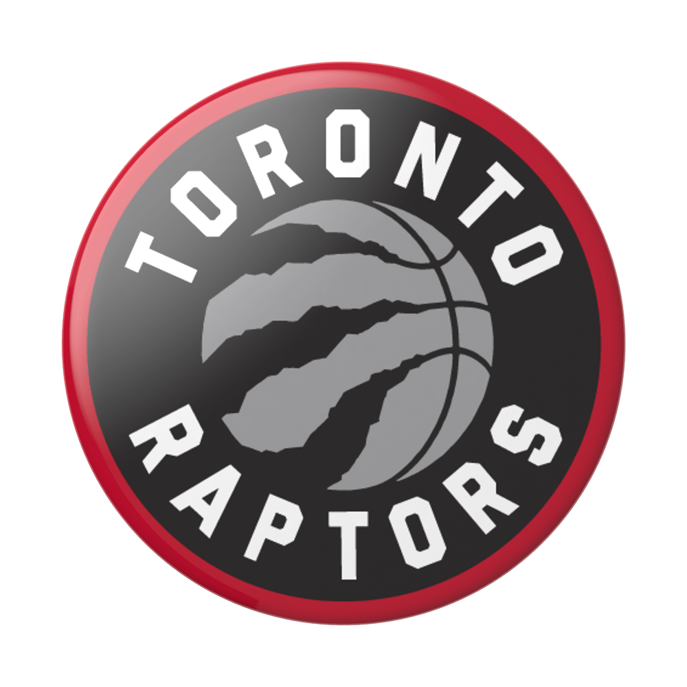 Image result for raptors logo