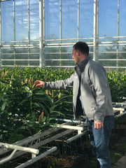 2nd generation Lily grower