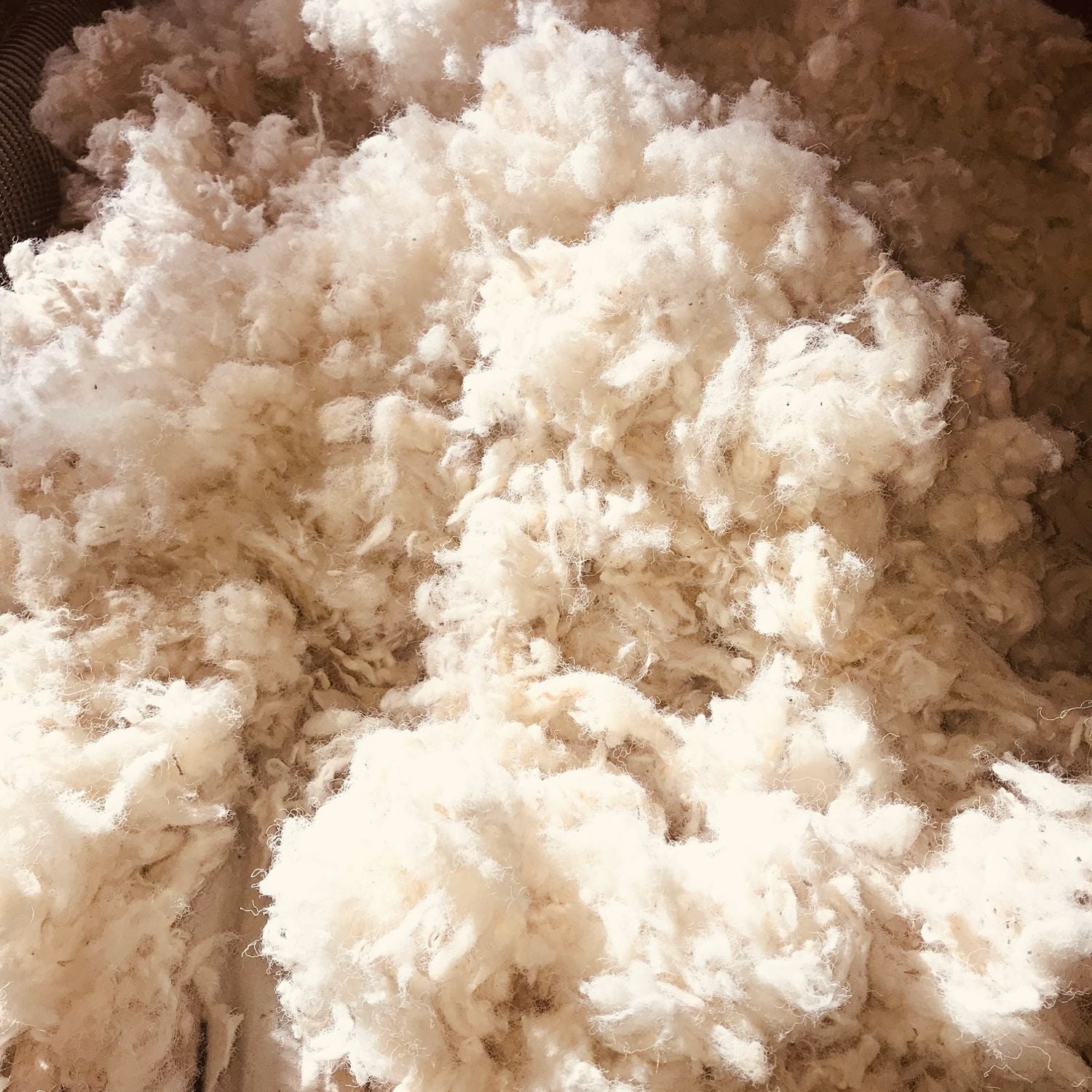 insulation wool