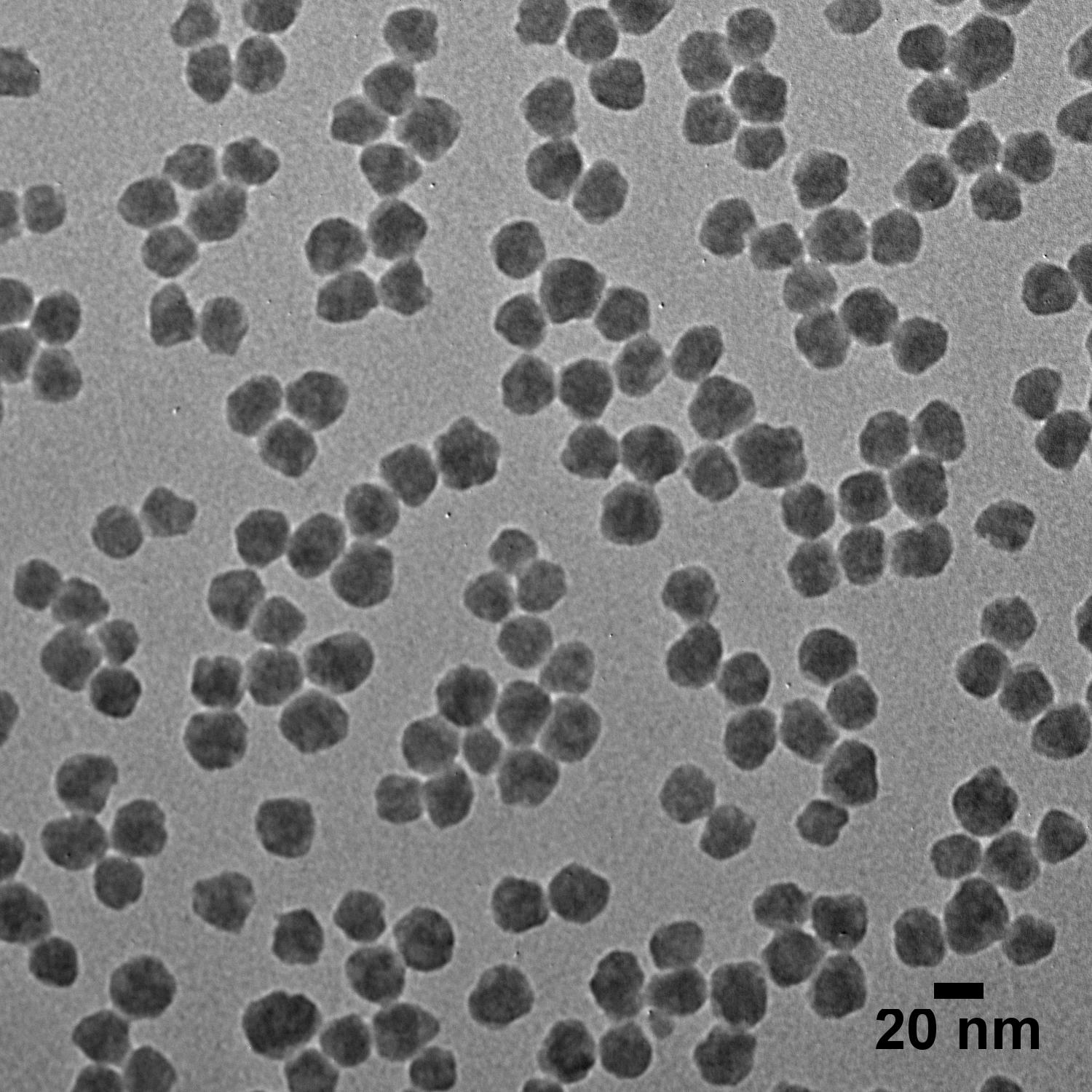 TEM image of 20 nm  NanoXact silica nanospheres.
