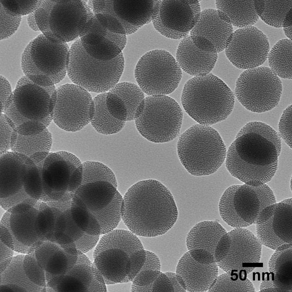 NanoXact Mesoporous Silica Nanospheres (Dried)