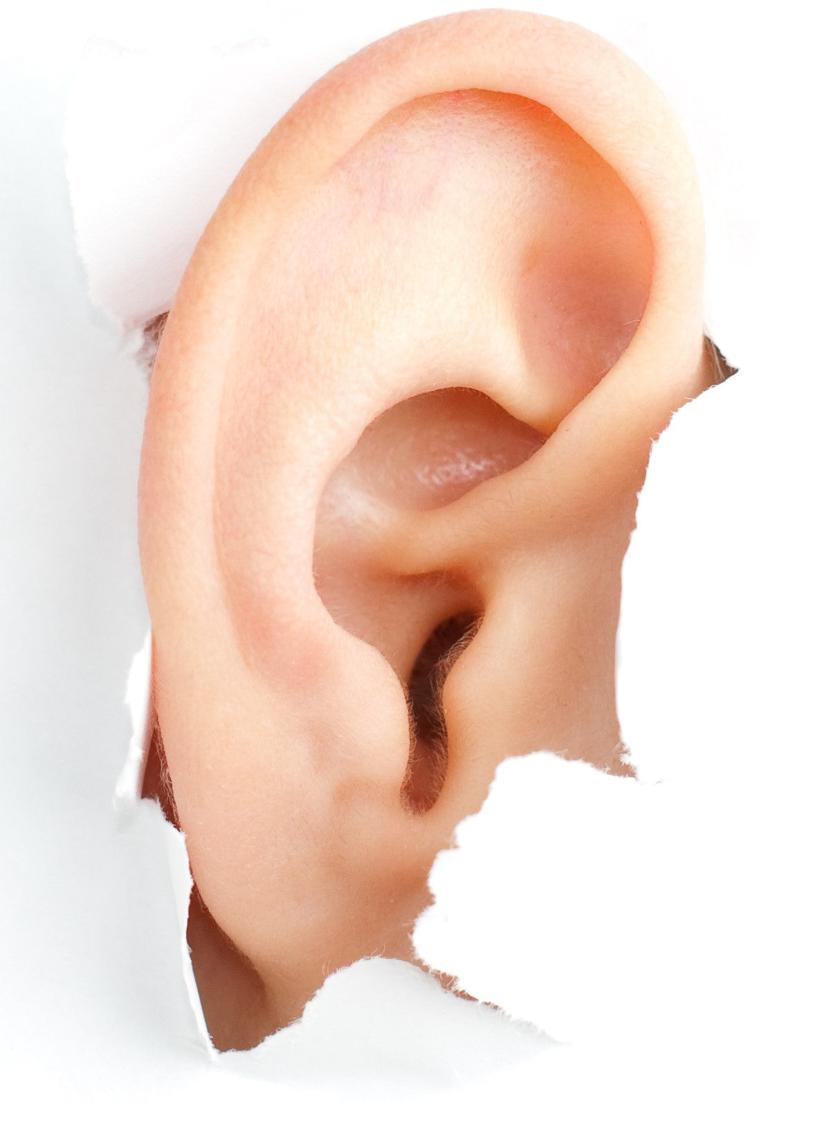 dandruff in the ear