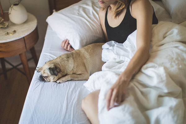 woman in bed with her pug