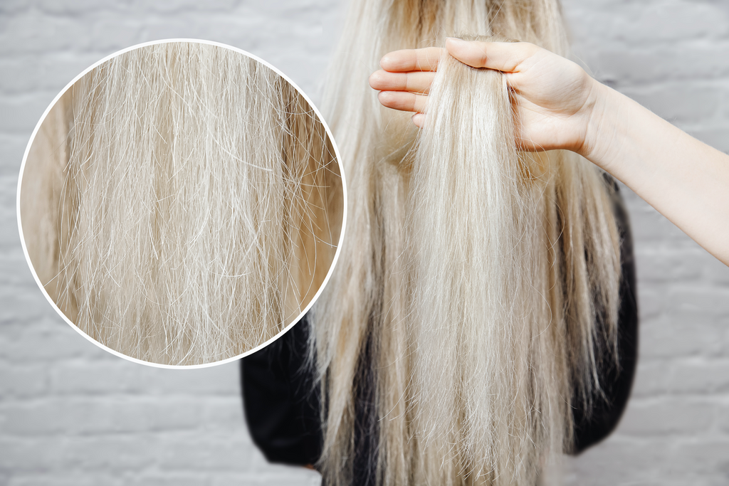 How to Fix Over-Processed Blonde Hair - wide 11