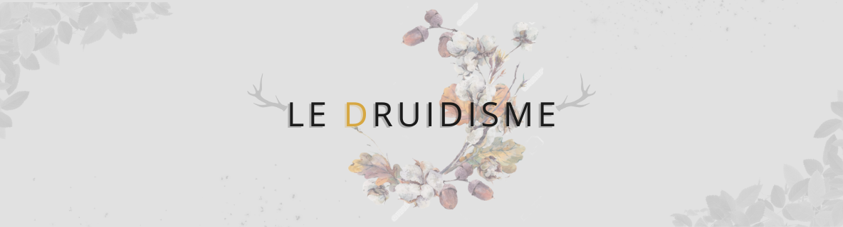 druidisme signification