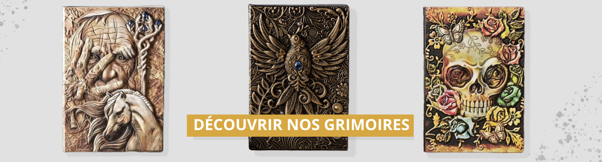 livre des ombres sorcellerie