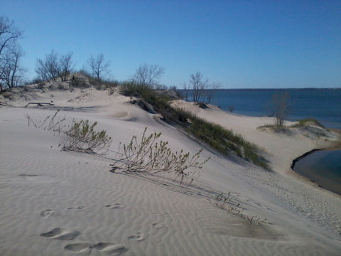 Sandbanks Dune Prince Edward County