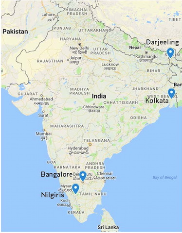 Map of the upcoming India tea tour showing destination sin Banglore, Nilgiris, Delhi, Assam, Kumaon, and more