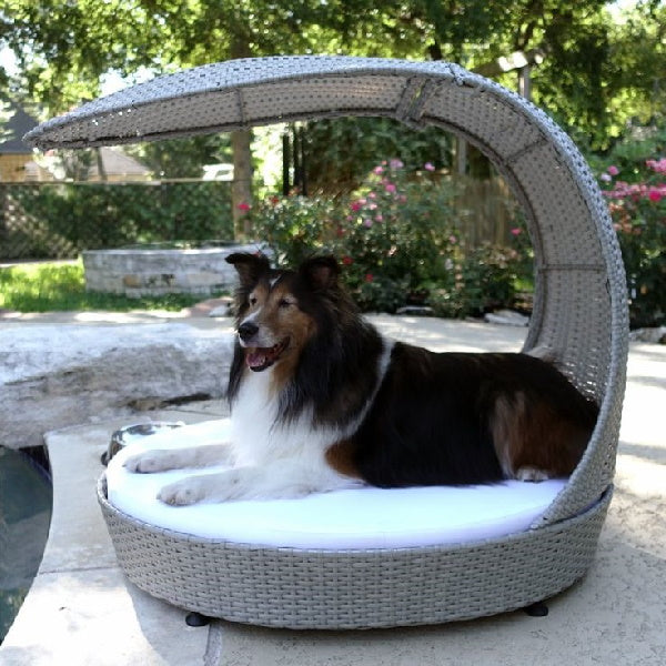 Outdoor dog loungers