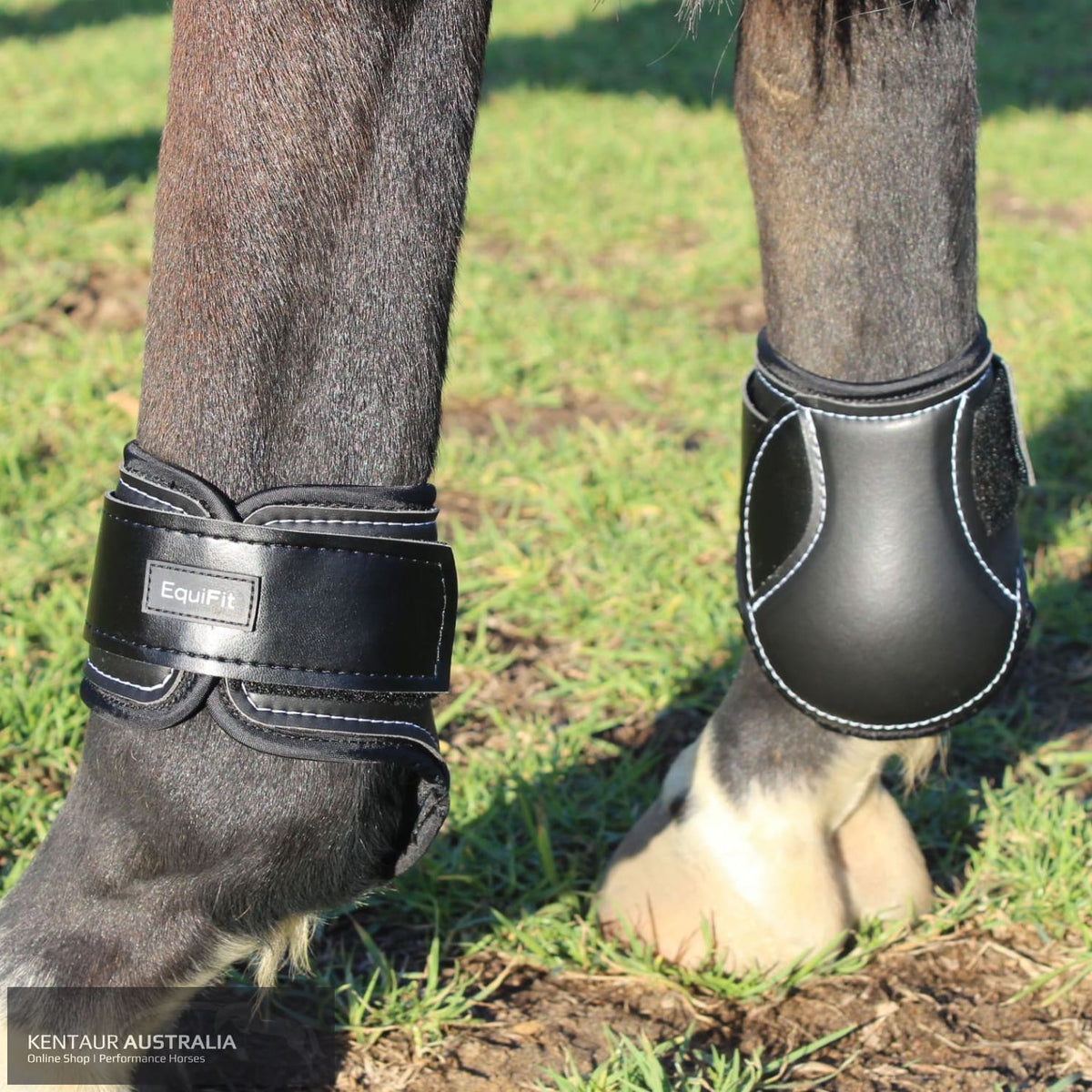 hind boots for horses