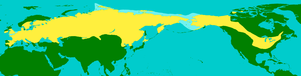 A quels endroits vivaient les mammouths laineux pendant la dernière ère glaciaire ?