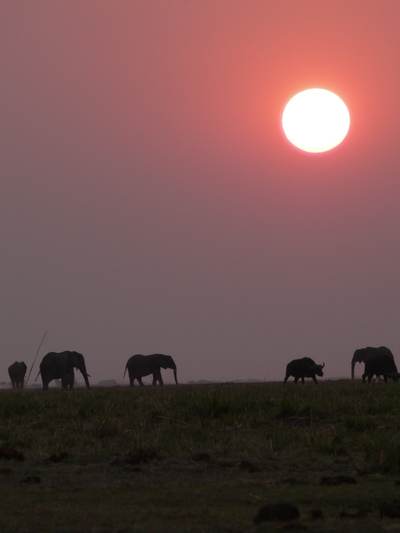 Derniers rayons de lumière sur la plaine africaine avant le coucher