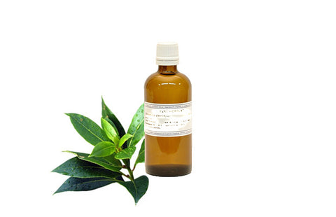 Aromara Čajevac Hidrolat 100 ml