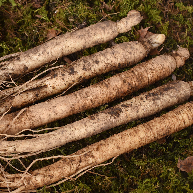 Wholesale Northeast Specialty Changbai Mountain With Fresh Ginseng