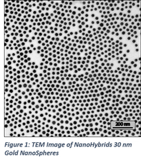 30nm gold nanoparticle spheres