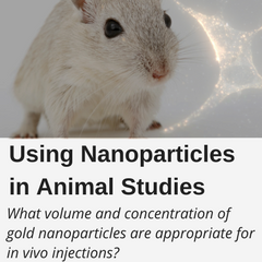 Using Nanoparticles in Animal Studies