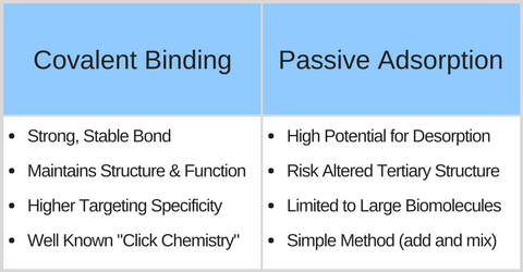 Advantage of Covalent Conjugation for Gold Nanoparticles vs. passive adsorption