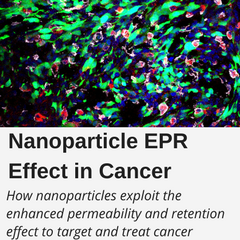 Nanoparticle Cancer EPR Effect