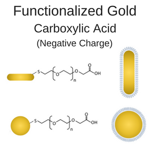Carboxylic Acid Functionalized Gold Nanorods and Nanospheres
