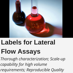 Lateral Flow Assay Labels