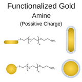 Amine (NH2) Functionalized Gold Nanoparticles