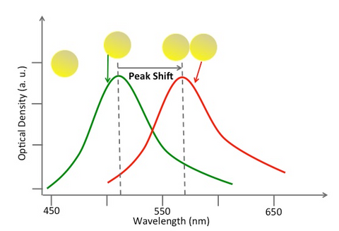 Aborbance spectrum - Plasmon coupling vs. single gold nanoparticle