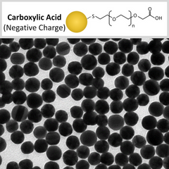 Buy Carboxylic Acid Functionalized Gold Nanorods