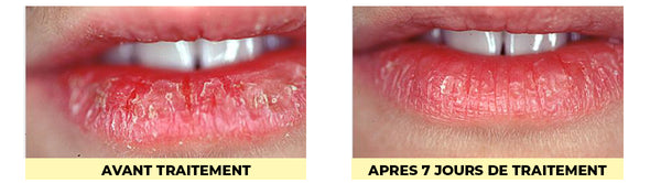 Résultat réparateur du beurre de mangue sauvage des rouge à lèvres Pomponne