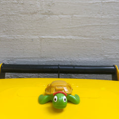 Tilda the turtle on a recycling bin