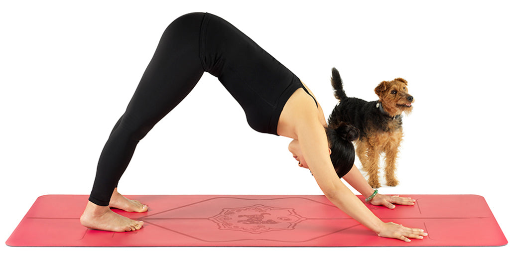 Every Day Has Its Dog: 7 Yoga Down Dog Variations