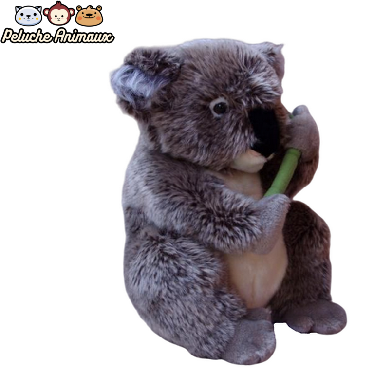 grosse peluche koala