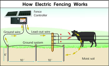 Properly Grounding An Electric Fence – Gallagher Fence