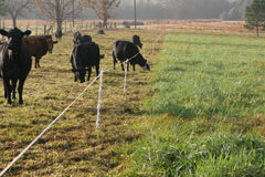 Rotational Grazing