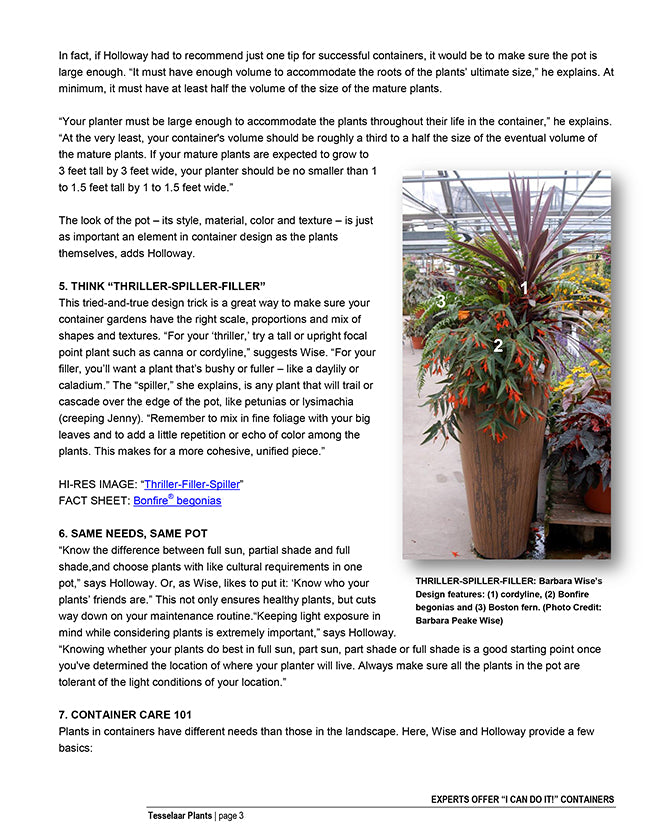 Tesselar article to create your own planter