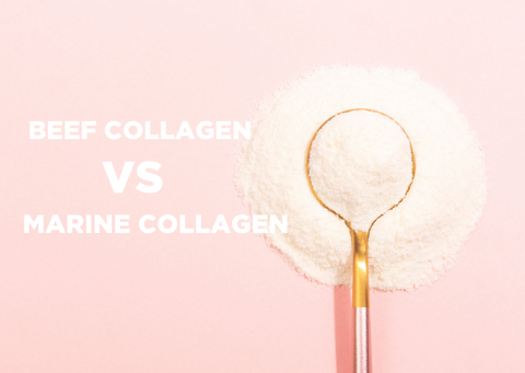 marine collagen and bovine collagen difference