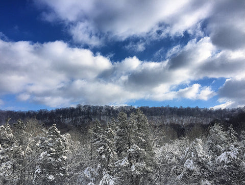 winter snow storm nashville