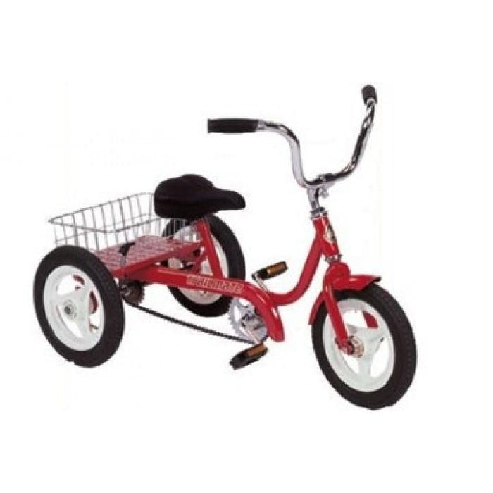 tricycle for teenager