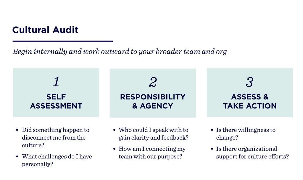 Cultural Audit: Begin internally and work outward to your broader team and org