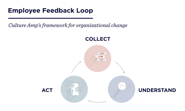 Culture Amp's Employee Feedback Loop