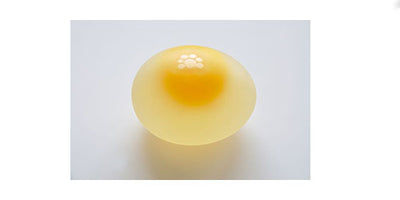 Science Freaks: Make an Egg Shell Disappear